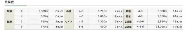 競馬タウン阪神10R結果