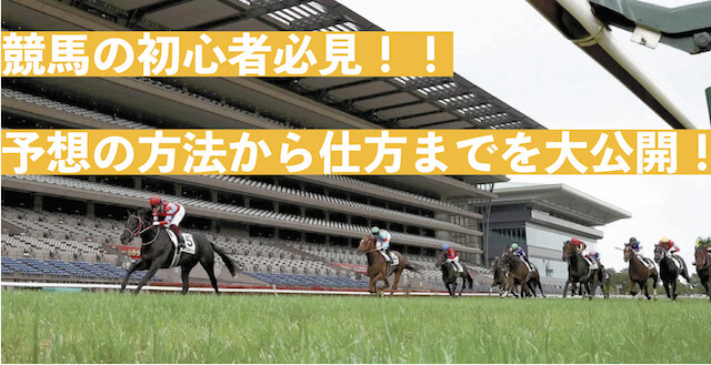 競馬初心者のサムネイル画像