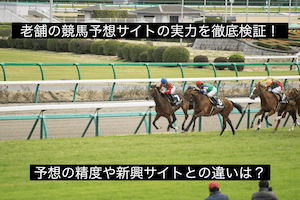 老舗の競馬予想サイト：サムネイル