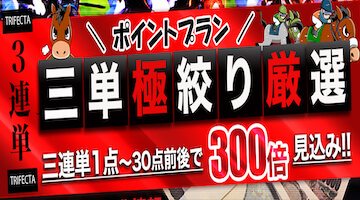 一点予想屋本舗：三単極絞り厳選