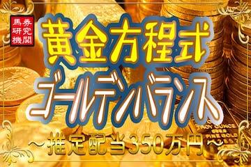 ダビアカ：有料プラン「黄金方程式」