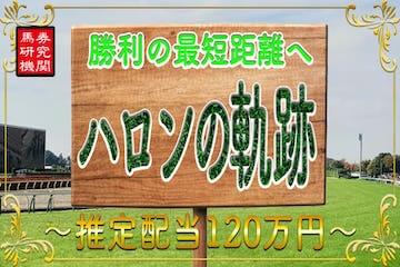 ダビアカ：有料プラン「ハロンの軌跡」