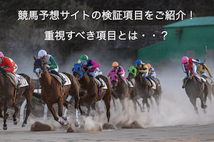 競馬予想サイト　検証項目