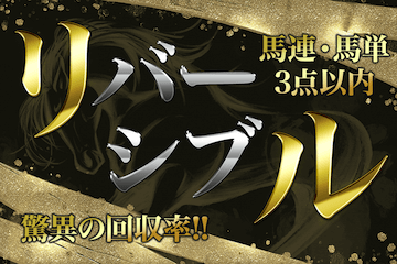 リバーシブル〔堅実配当から高配当まで/馬連・馬単〕