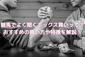 競馬ボックス買い方:サムネイル