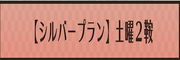 宝馬：有料プラン