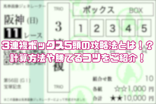 3連複5頭ボックス：サムネイル