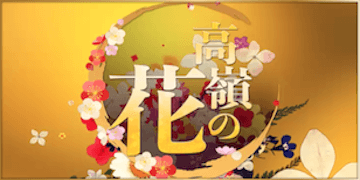 暁：有料プラン【高嶺の花】