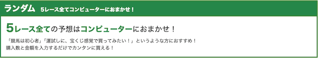 WIN5のランダム予想説明画像