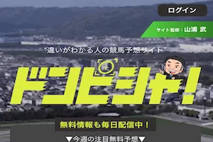 ドンピシャ：サムネイル