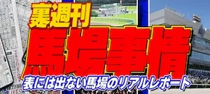 テキカクの有料プラン「裏週刊・馬場事情」