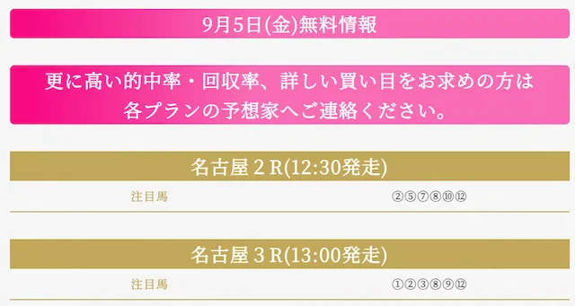 ハーレム競馬：20250905