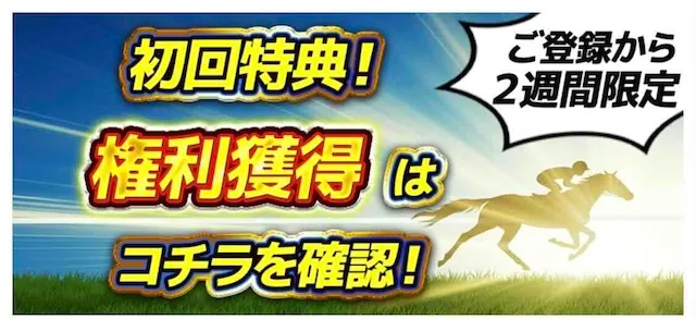 ニジュウマル：特典