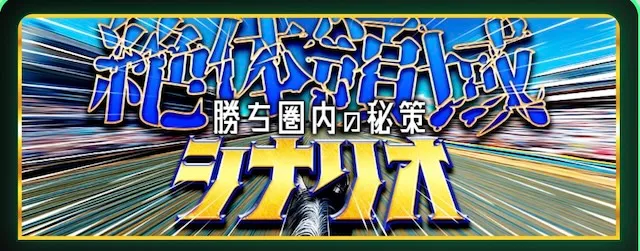 サラコレの有料プラン：絶対領域シナリオ