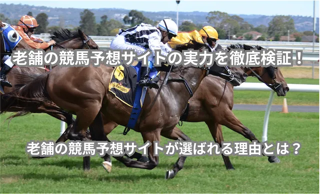 競馬予想サイト：サムネイル