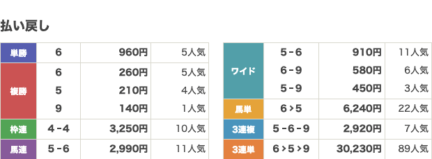 競馬予想サイトの無料予想を組み合わせて馬券を購入したレースの結果