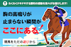 競馬タイムのサムネイル100*67