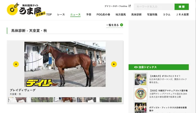 よく当たる競馬指数のdaily画像