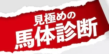 新しい競馬のカタチ有料プラン「見極めの馬体診断」