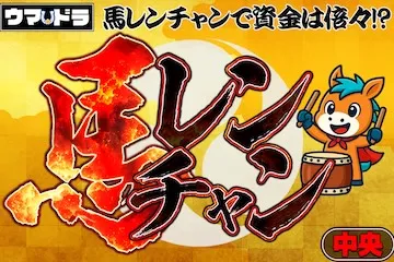 ウマドラ有料プラン「馬連チャン」
