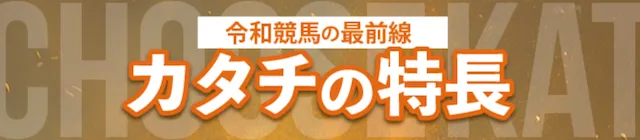 新しい競馬のカタチの特徴