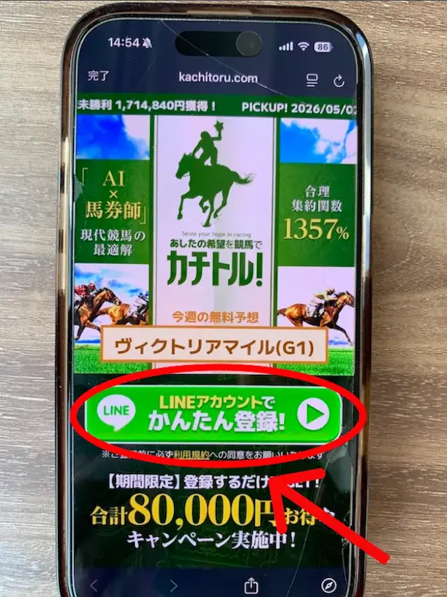 kachitoru-torokuhoho-1